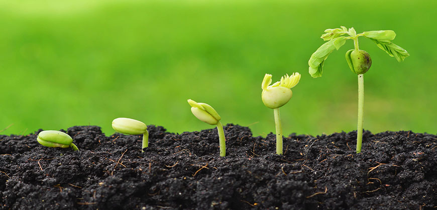 Agripreneurship-The-New-Backbone-of-the-Nation