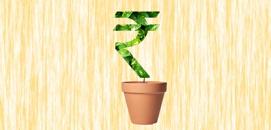 How to Grow your Money as an Entrepreneur?