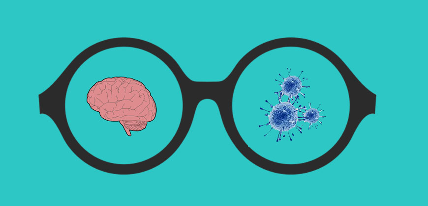 Sense-Lens-and-the-Pandemic