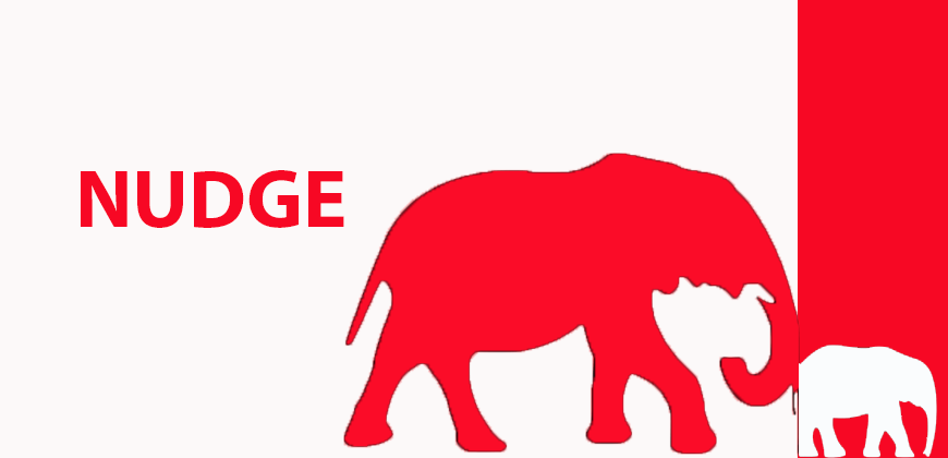 NUDGE