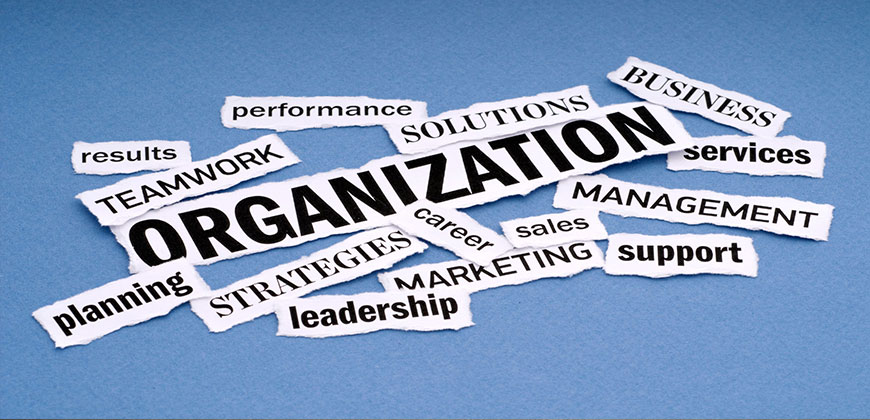 Organizational-Structure
