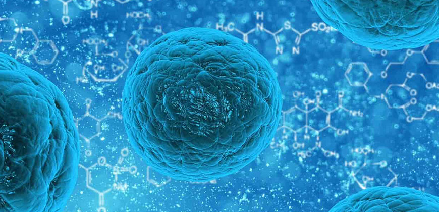 Plant-Extract-Anti-microbial-Finish-on-Textiles