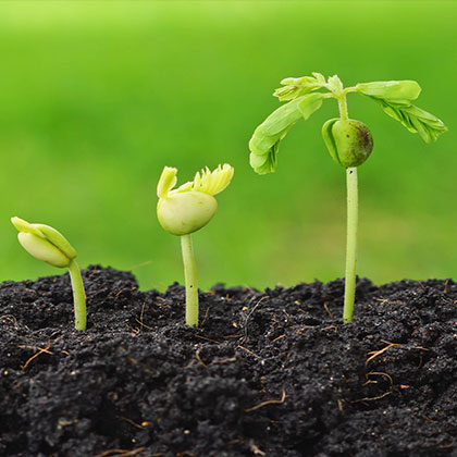 Agripreneurship-The-New-Backbone-of-the-Nation