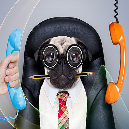 Language-Communication-Skills