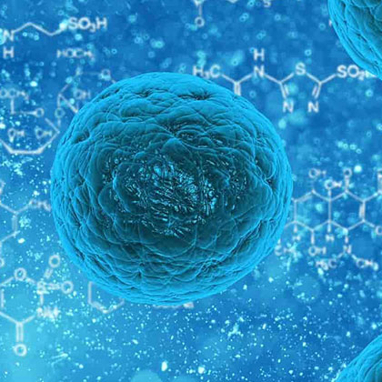 Plant-Extract-Anti-microbial-Finish-on-Textiles